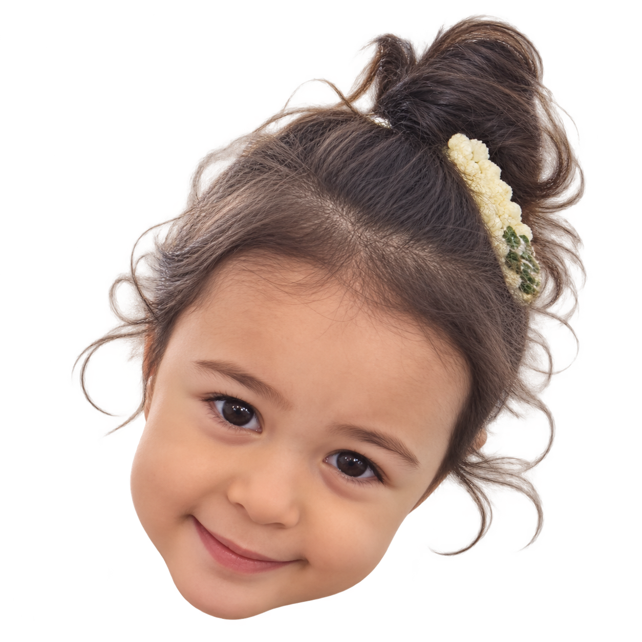 Nehir